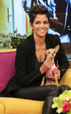 Halle Berry, Univision Halle Berry, Univision